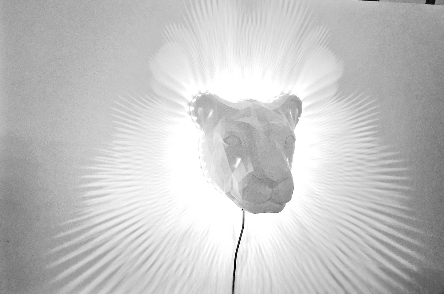 Nástěnné Svítidlo "Tygr": Hříva Tygra Rozjasněná Světlem